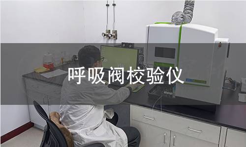 呼吸閥校驗(yàn)儀