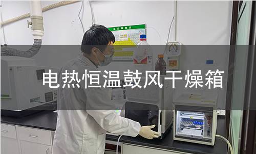 電熱恒溫鼓風(fēng)干燥箱