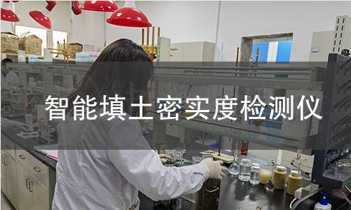 智能填土密實(shí)度檢測儀