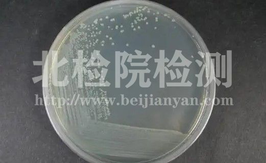 糞大腸菌群檢測