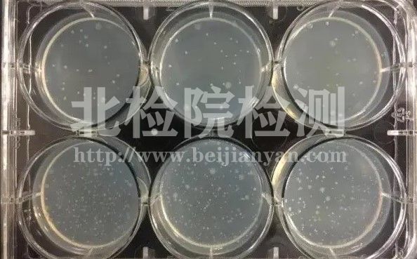 基因毒性雜質檢測