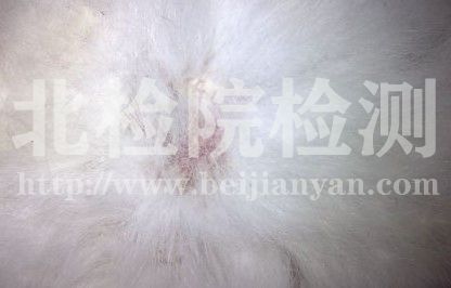 接觸性皮炎試驗