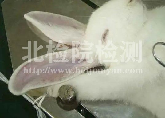 眼部刺激試驗(yàn)