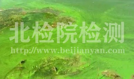 微囊藻毒素測定