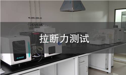 拉斷力測(cè)試