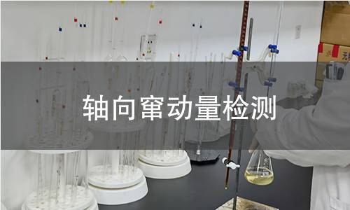 軸向竄動(dòng)量檢測(cè)