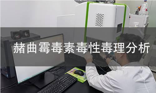 赭曲霉毒素毒性毒理分析