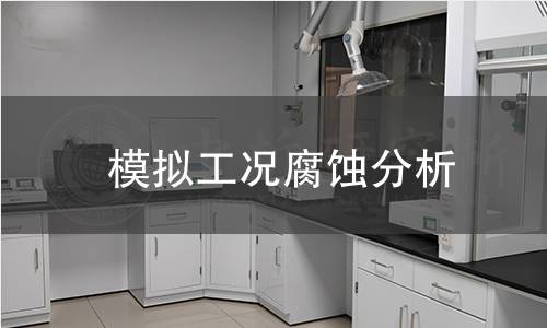 模擬工況腐蝕分析