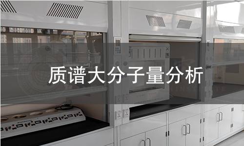 質(zhì)譜大分子量分析