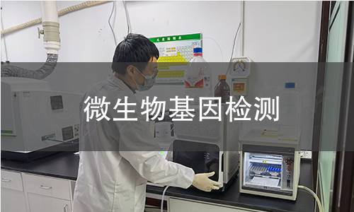 微生物基因檢測