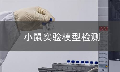 小鼠實驗模型檢測