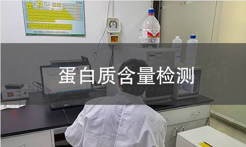 蛋白質(zhì)含量檢測(cè)