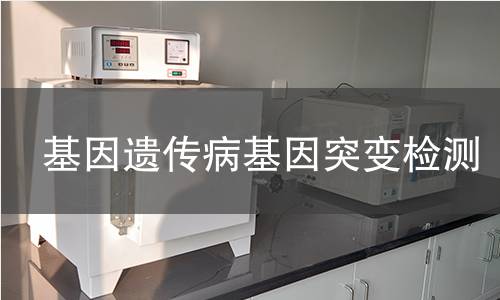 基因遺傳病基因突變檢測(cè)