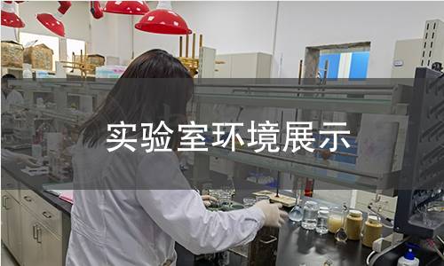 實驗室環境展示