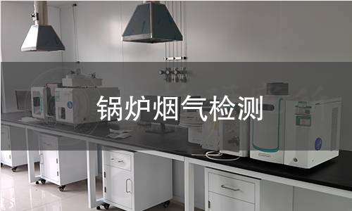 鍋爐煙氣檢測