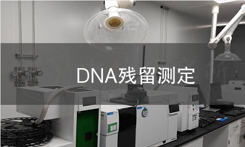 DNA殘留測定