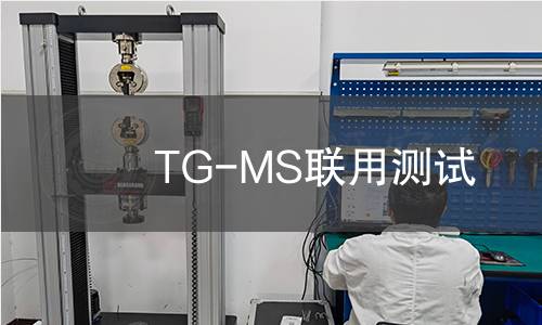 TG-MS聯(lián)用測(cè)試