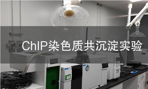 ChIP染色質共沉淀實驗
