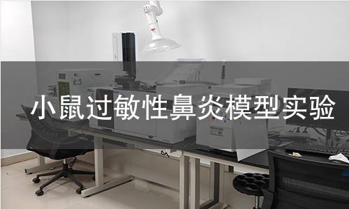 小鼠過敏性鼻炎模型實(shí)驗(yàn)