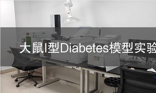 大鼠I型Diabetes模型實驗