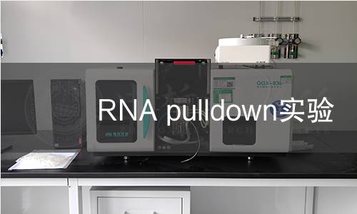 RNA pulldown實驗