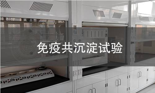 免疫共沉淀試驗